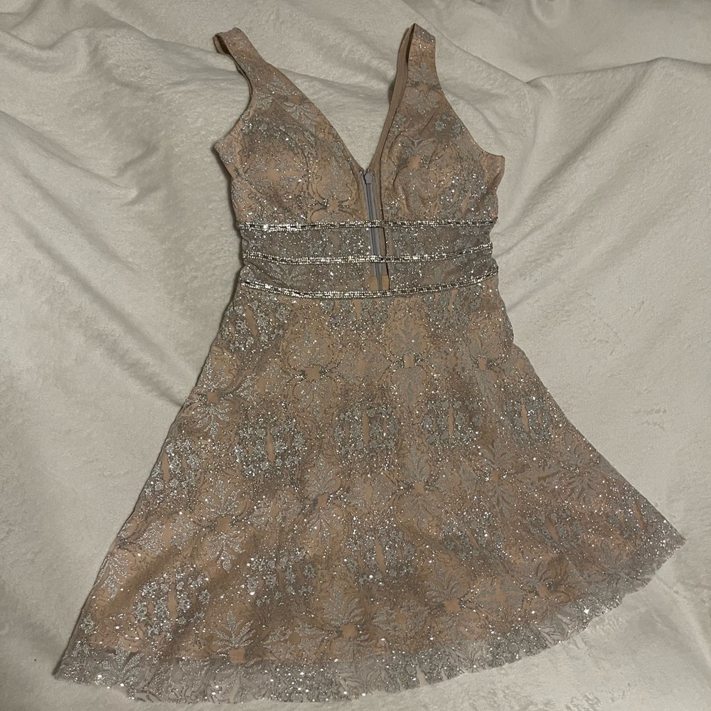 Elegant Silver and Tan Women's Dress